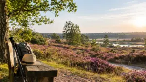7 Tage Fasten nach Buchinger in der Lüneburger Heide in Bad Bevensen, Niedersachsen inkl. Vollpension